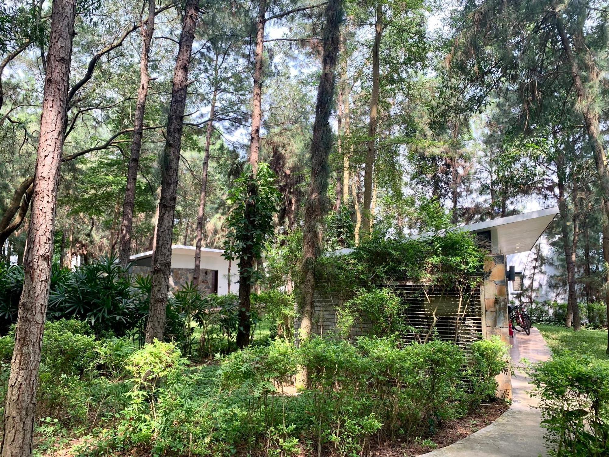 Appartement Hilltop Dai Lai H230 *